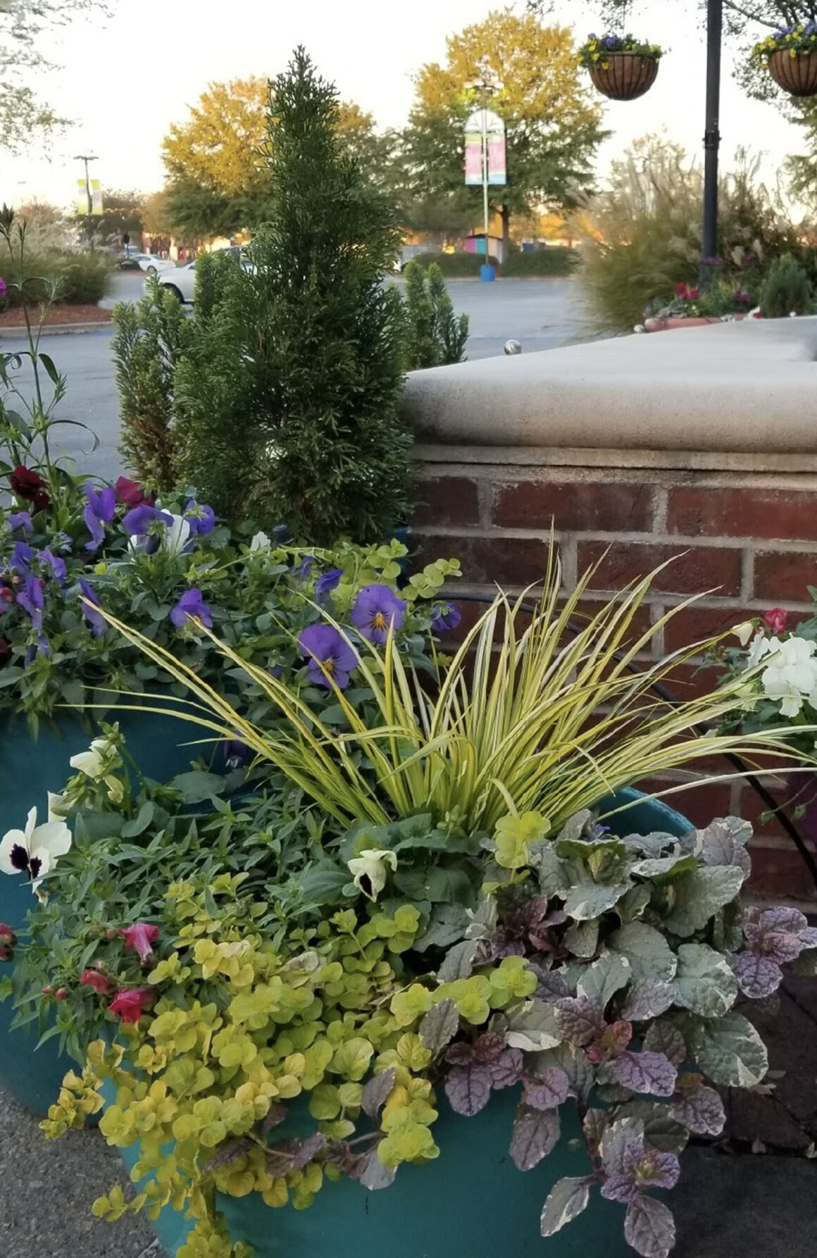 LIFE-HOME-ONGARDENING-4-MCT